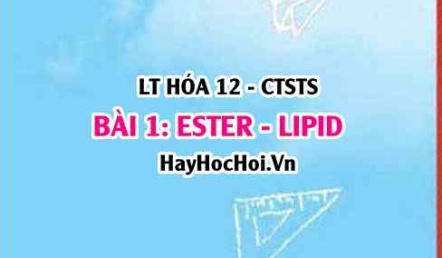 Ester - Lipid là gì? Đặc điểm cấu tạo, tính chất vật lí, hóa học của Ester Lipid, điều chế và ứng dụng? Hóa 12 bài 1 CTST